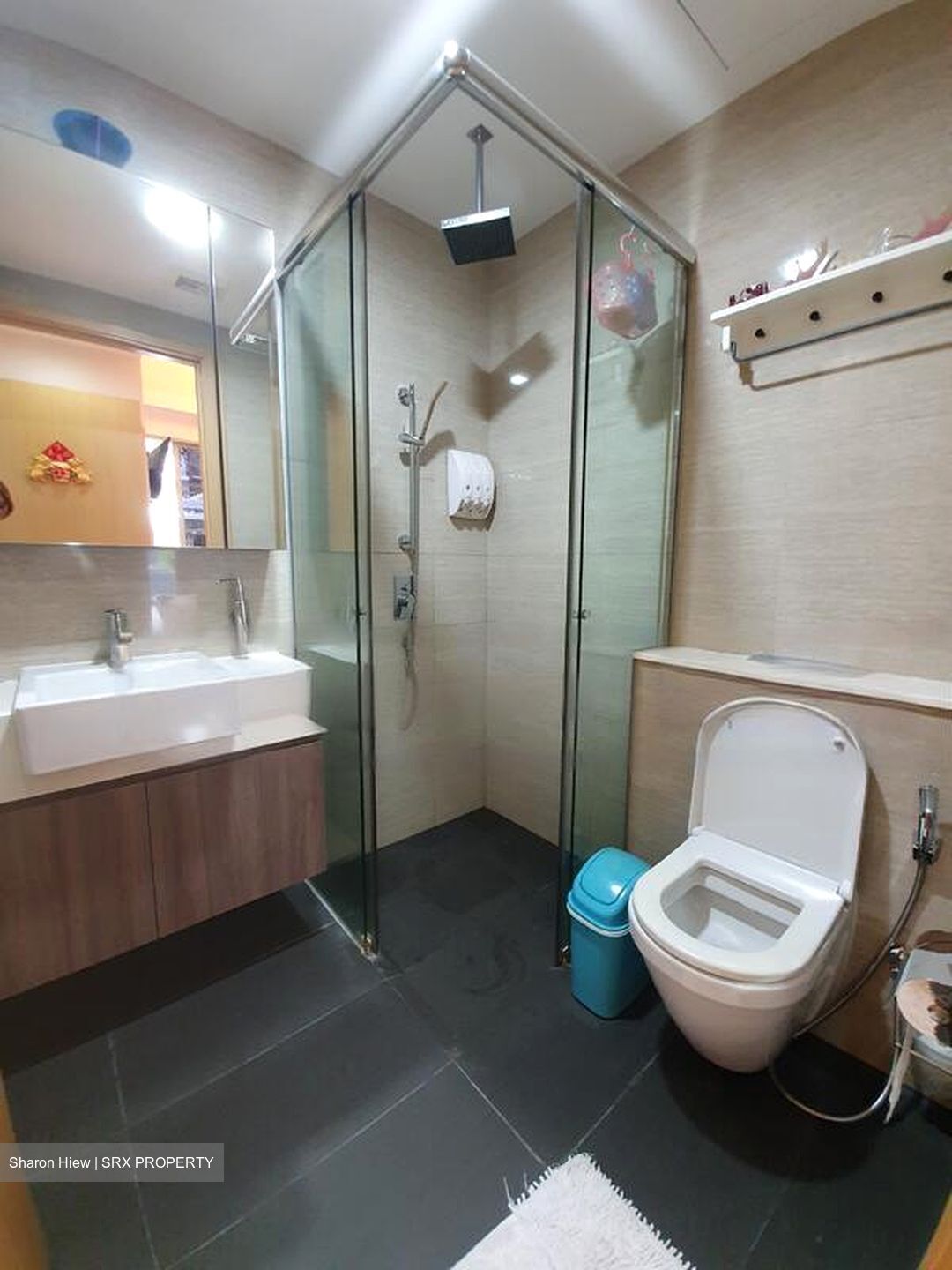 Casa Cambio (D19), Condominium #477008241